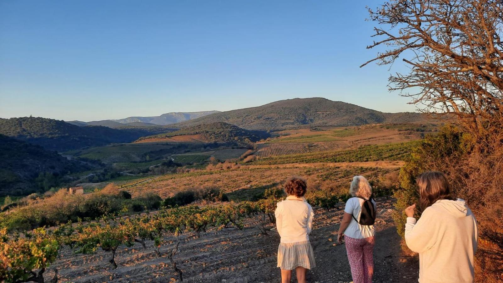 La Barbacane De Cascastel-des-Corbières Kültér fotó